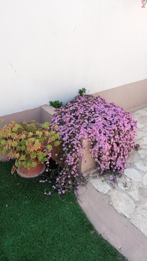 Dolce Vita Bitonto Esterno foto